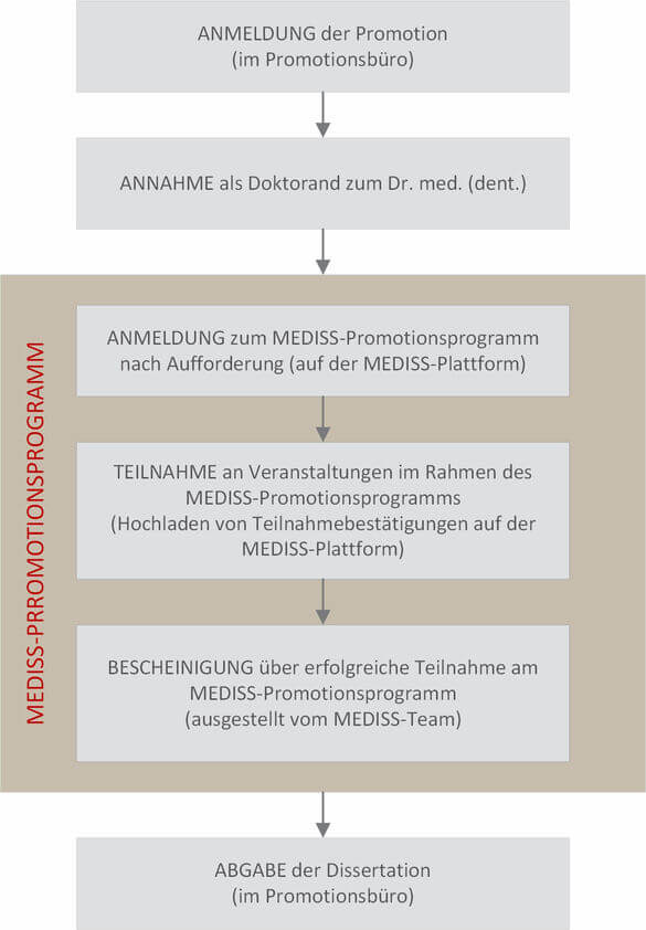 Überblick über den Ablauf des Promotionsprogramms