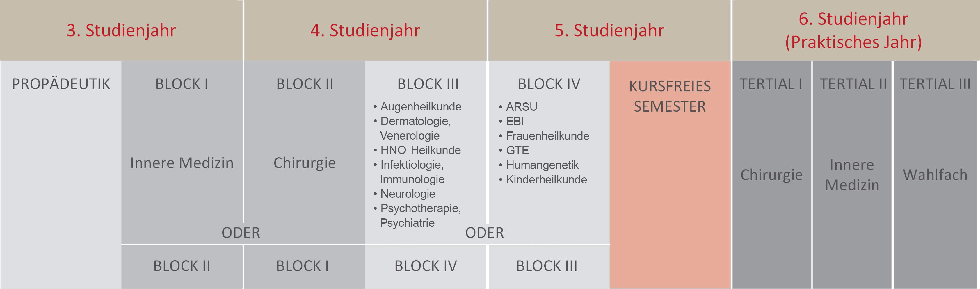 Medizinische Fakultät Heidelberg: Klinischer Studienabschnitt